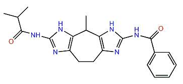 Zoamide C